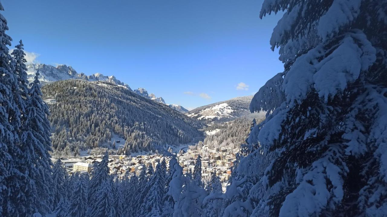Monaco Sport Hotel Santo Stefano Di Cadore Eksteriør bilde