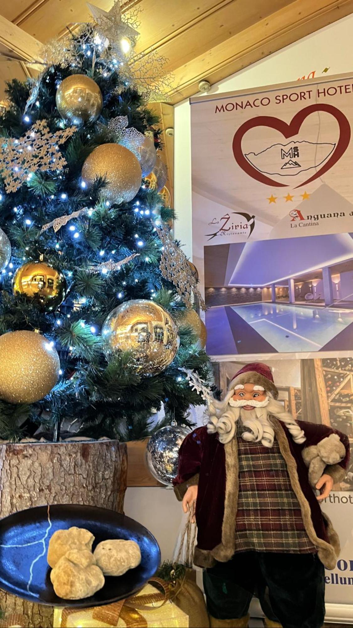 Monaco Sport Hotel Santo Stefano Di Cadore Eksteriør bilde